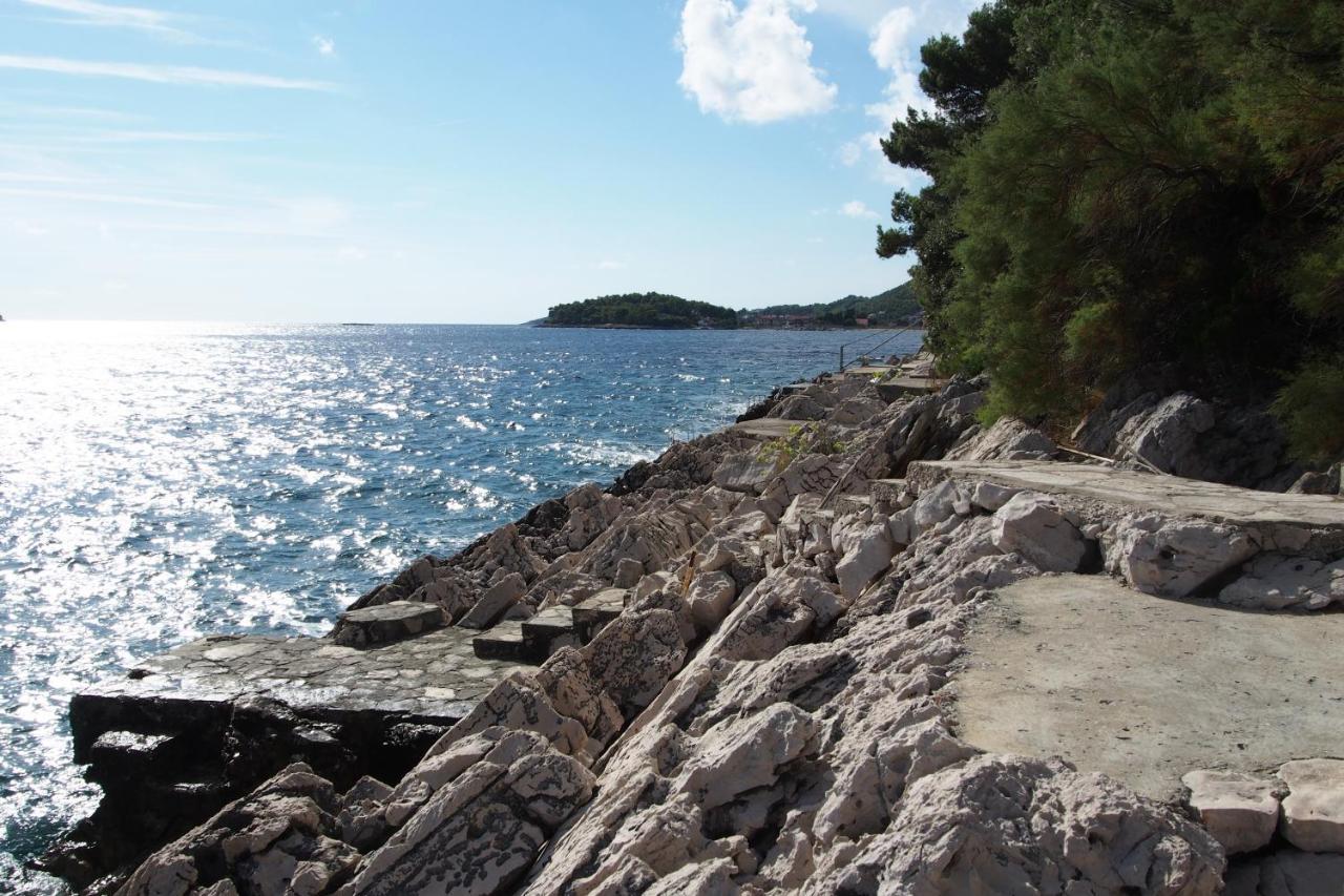 Apartments By The Sea Prizba, Korcula - 9255 Εξωτερικό φωτογραφία